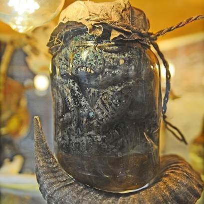 Alien im Glas