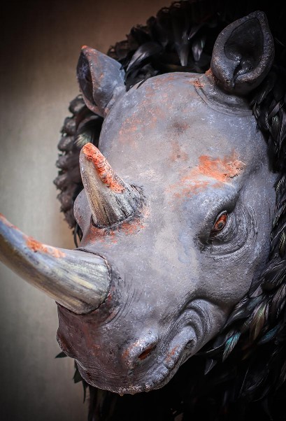 Nashorn trophäe